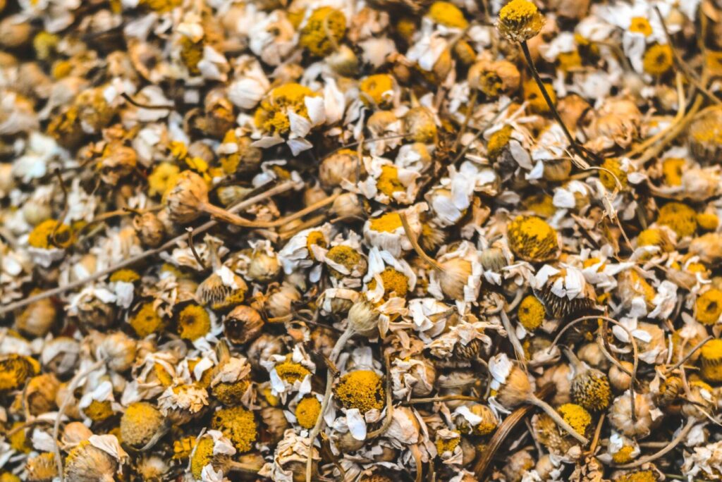 A close-up of dried chamomile flowers ideal for tea brewing and herbal remedies.
